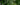 Indoor plants