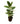 Green Rubber 12inch Plant