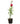 Rose 22inch Plant