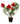 Muskseed Plant 22inch Plant