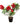 Muskseed Plant 22inch Plant