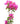 Single Color Bougainvillea 20inch Plant