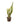 Snake plant 30inch Plant