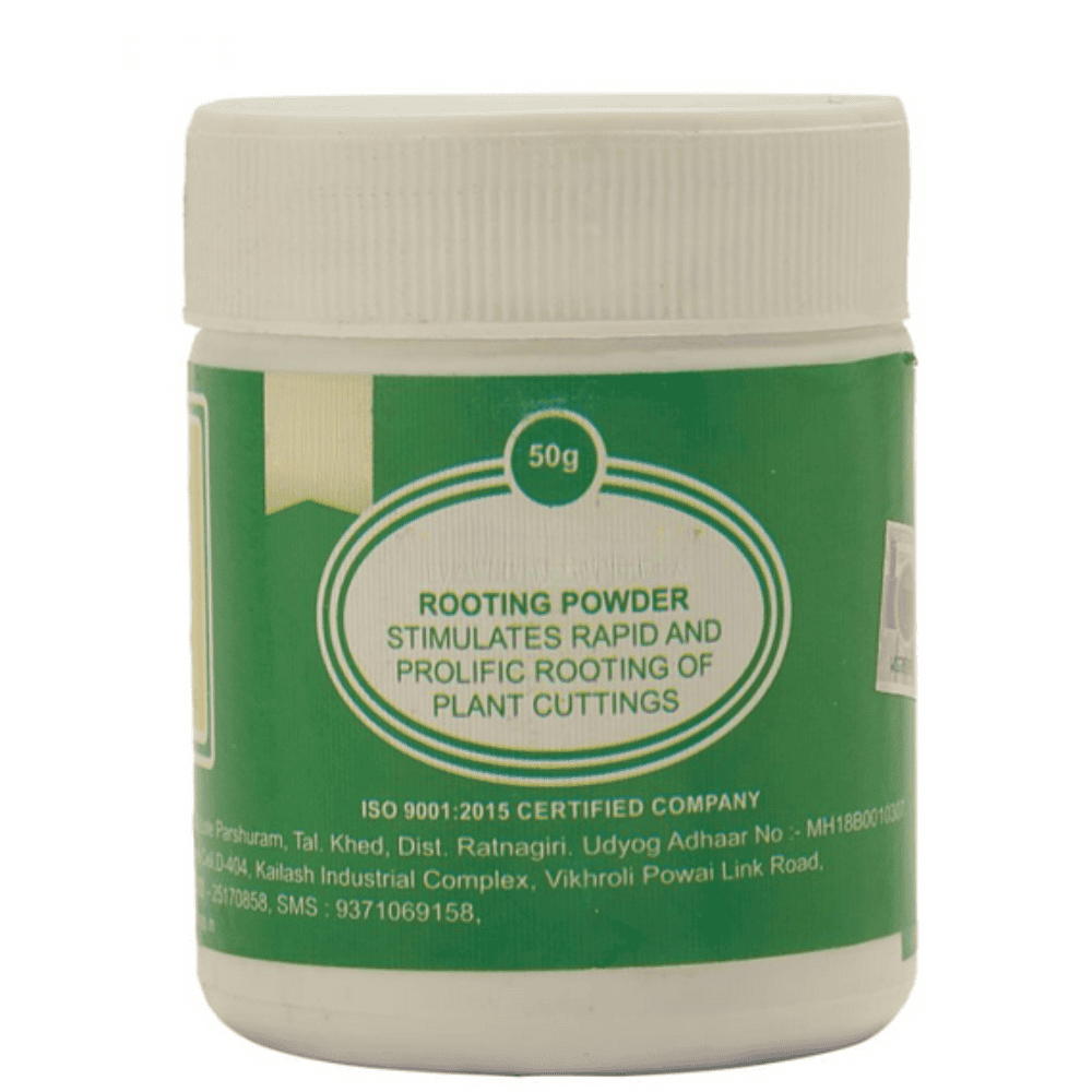 Rooting Powder (50g) – Shapemygarden
