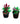 Set of 2 - Dianthus (any colour) In 5 Inch  Pot