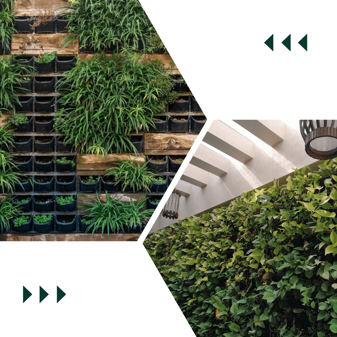 Affordable Multistorey Garden Maintenance in Kenya | TikTok