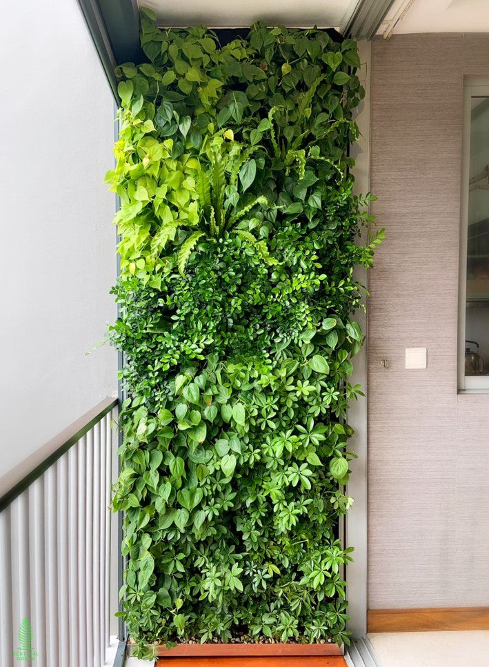 Vertical Garden Services in Bangalore, Indoor/Outdoor Vertical Garden ...