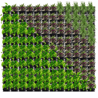 Vertical Garden Services in Bangalore – Shapemygarden