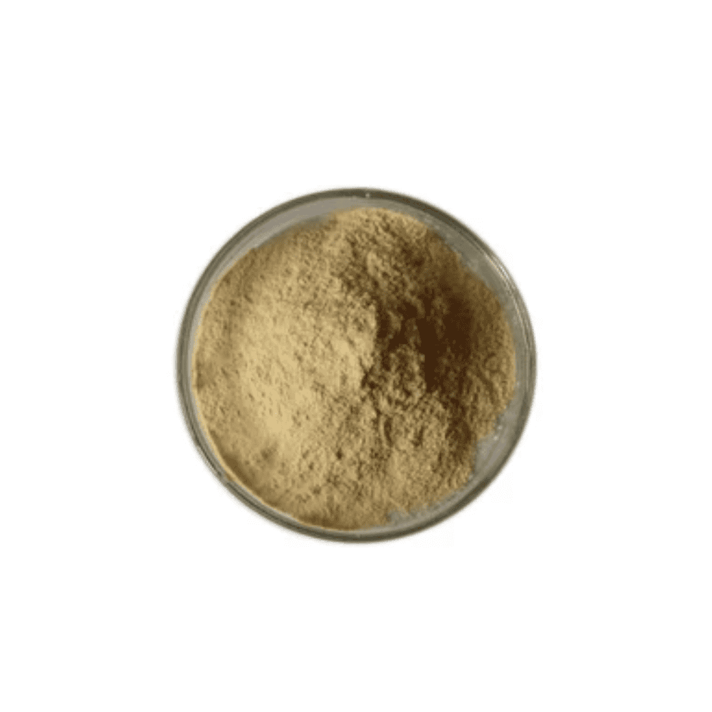 Kitchen Waste Decomposer Powder-1kg – Shapemygarden